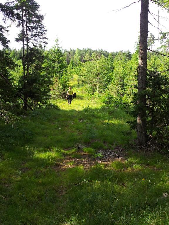 Maenniste Holiday Home Hiievalja Quarto foto