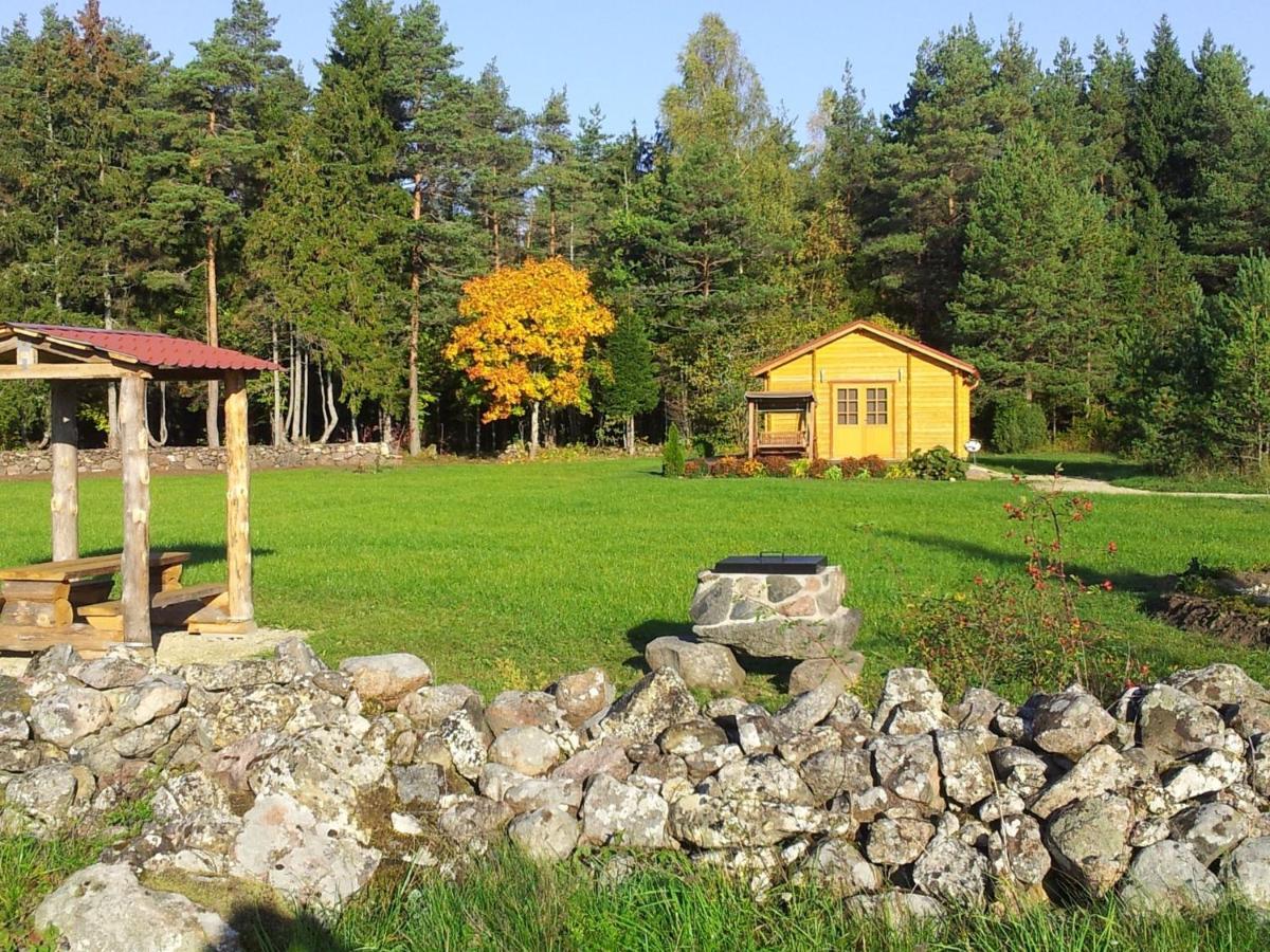 Maenniste Holiday Home Hiievalja Quarto foto